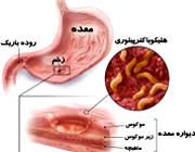  کدام گروه خونی بیشتر بیمار می شود؟ 