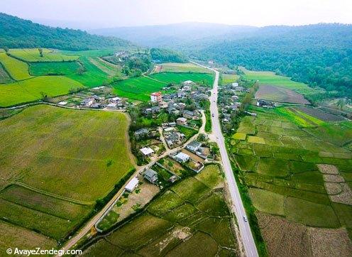  طبیعت هزار جریب نکا - مازندران 