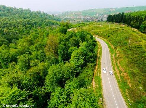  طبیعت هزار جریب نکا - مازندران 