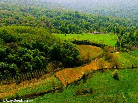  طبیعت هزار جریب نکا - مازندران 