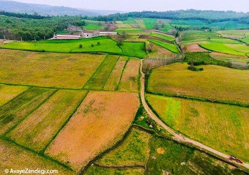  طبیعت هزار جریب نکا - مازندران 