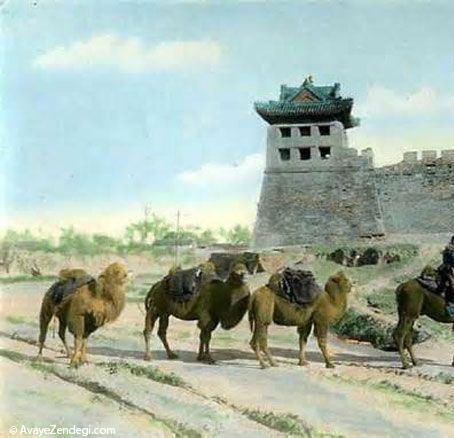  سفر به چین؛ سرزمین اژدها و افسانه 