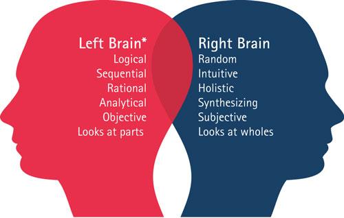  کدام نیمکره مغزتان فعال تر است؟ 
