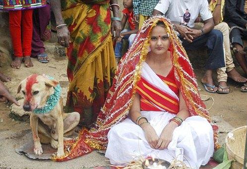 ازدواج دختر هندی با یک سگ!