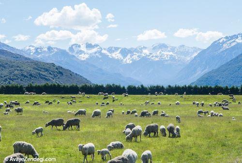  گردشگری تصویری از دیدنی های نیوزلند 