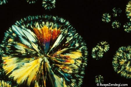  ویتامین ها زیر میکروسکوپ چه شکلی هستند؟ 