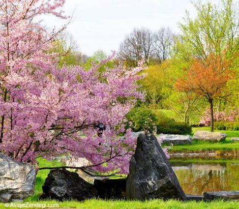  تصاویر زیبا از فصل بهار در سراسر جهان 