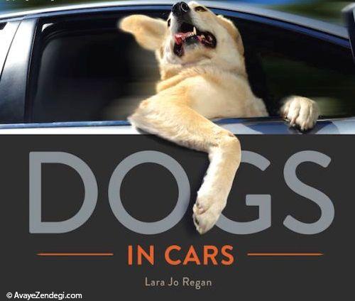 ماشین سواری باحال سگ ها 