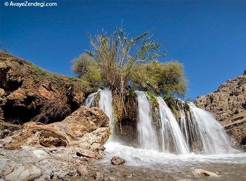  چهره بهاری خوزستان 