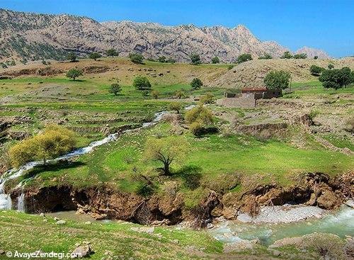  چهره بهاری خوزستان 