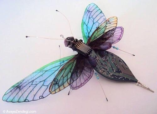 حشرات زیبای الکترونیکی