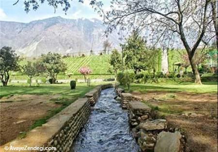  آشنایی با باغ زیبای هارون در کشمیر 
