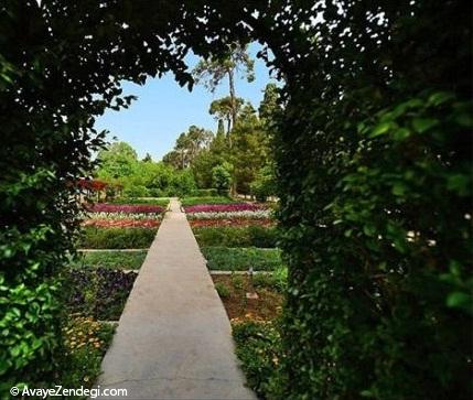 تصاویری از باغستان های پرگل شیراز