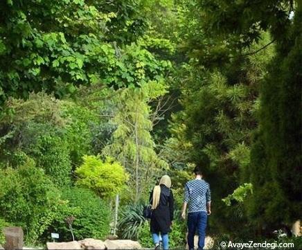 تصاویری از باغستان های پرگل شیراز