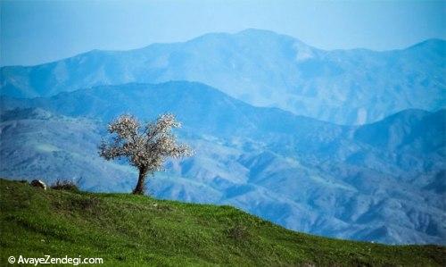 اینجا چشم هایتان نفس می کشند!