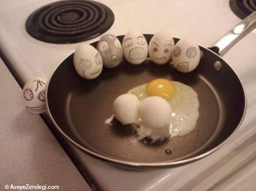 عکس های جالب و دیدنی از تخم مرغ ها