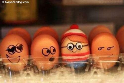 عکس های جالب و دیدنی از تخم مرغ ها