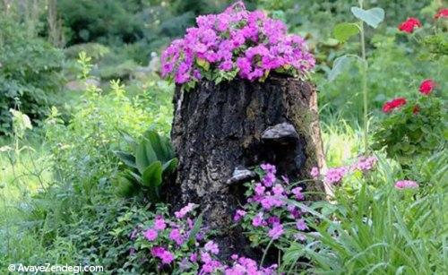 تبدیل درختان قدیمی به گلدان های زیبا