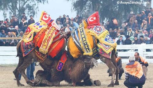 کوش‌آداسی، جزیره پرنده (Kuşadası)