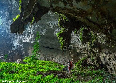  کایاک سواری در اعماق و بازدید از جنگل زیرزمینی 