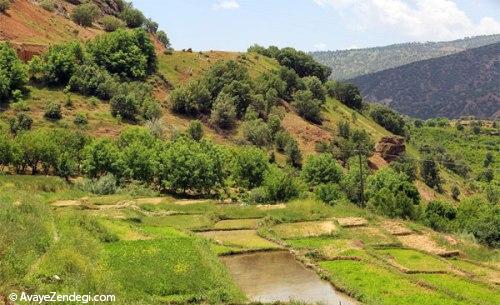 «هلن» در بهار