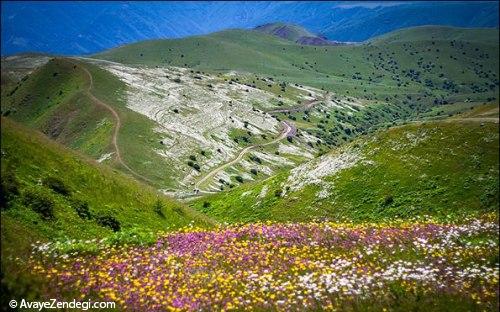 بهشت بابونه در ایران