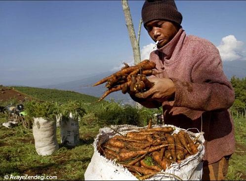 حمل و نقل در روستاهای اندونزی