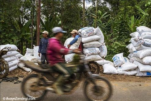 حمل و نقل در روستاهای اندونزی
