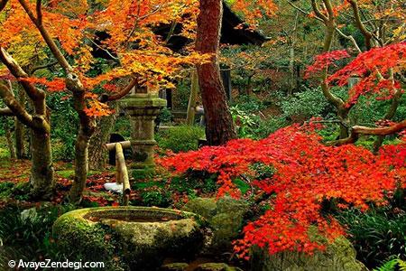  زیباترین باغ‌های جهان 