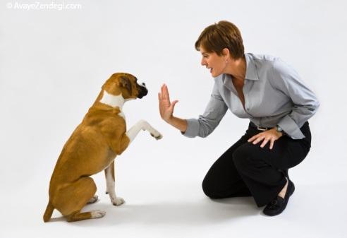 چگونه سگ خود را تعلیم دهیم؟ 9 روش برای تعلیم سگ