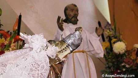 ازدواج با تمساح در مکزیک!