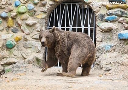 اولین باغ وحش در تهران