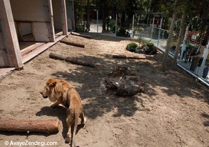 اولین باغ وحش در تهران