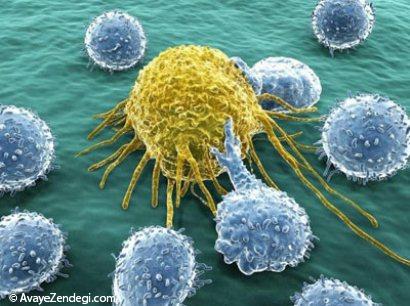 اطلاعاتی جالب درباره سلولهای سرطانی