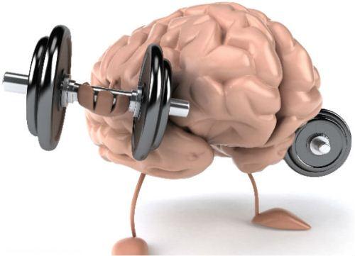 حافظه عضله چیست و چگونه عمل می کند؟
