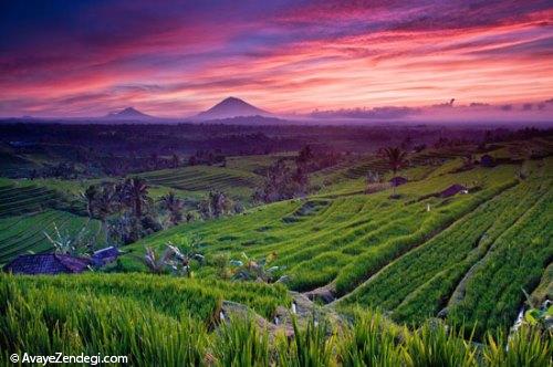  به بهشت افسانه‌ای «بالی» سفر کنید! 