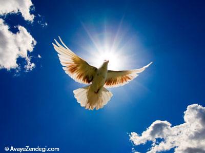  فرشته بزرگ روح القدس چگونه فرشته‌ای است؟ 
