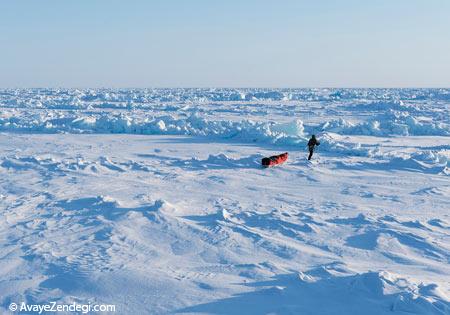  10 حقیقت جالب و افسانه ای درباره قطب شمال 