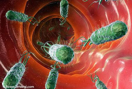  اطلاعاتی جالب درباره باکتری های خوب و بد بدن انسان 