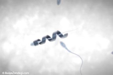 ساخت ربات سرعت دهنده اسپرم