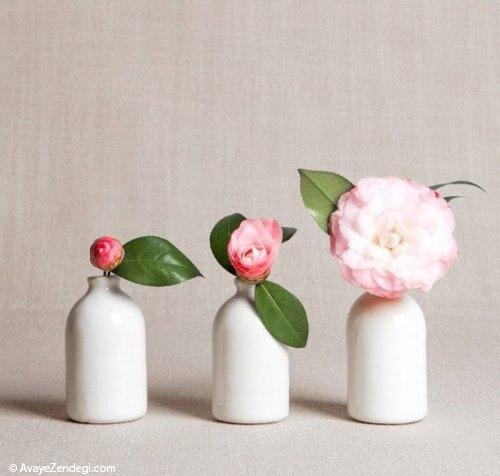  گلدان، آسان‌ترین راه تغییر در خانه 