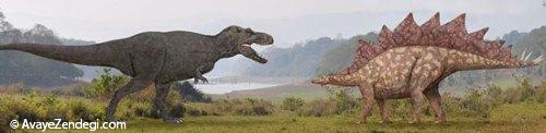  معروف‌ترین دایناسورهای جهان: استگوساروس 