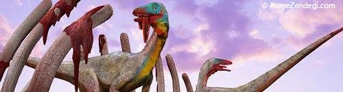 معروف‌ترین دایناسورهای جهان: كامپسوگناتوس 