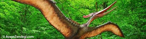 معروف‌ترین دایناسورهای جهان: ترانادان
