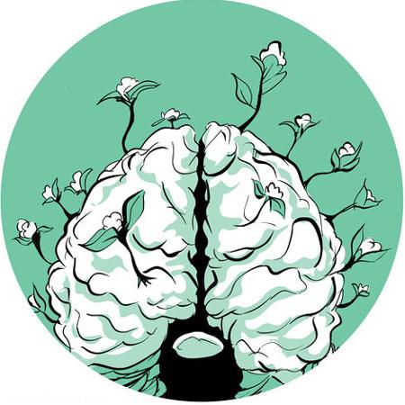  افسانه ها و باورهای اشتباه درباره مغز 