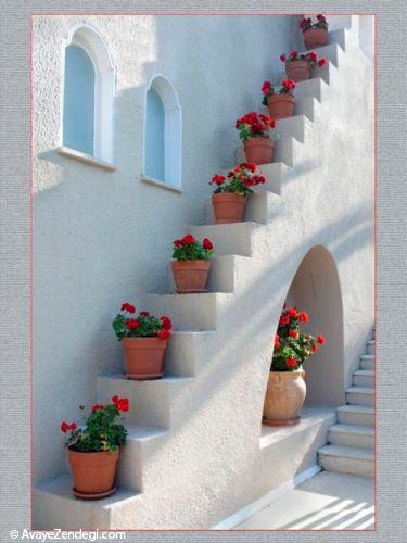 تزئین راه پله با گلدان های كوچك
